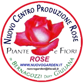 produzione rose 