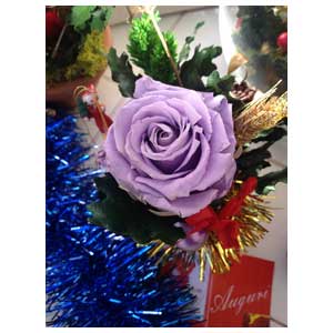 Rosa stabilizzata colorata per addobbo albero di Natale
