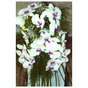 Bouquet di fiori orchidee per sposa