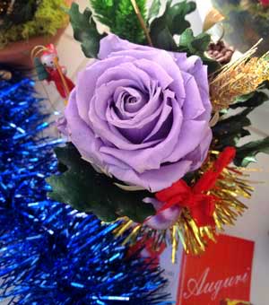 Composizioni floreali natalizie e idee regalo