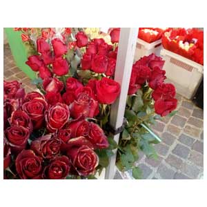 Confezioni regalo mazzi di rose stabilizzate per San Valentino