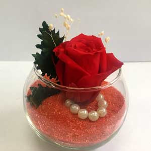 Composizione in vaso con rosa disidratata rossa su sabbia colorata