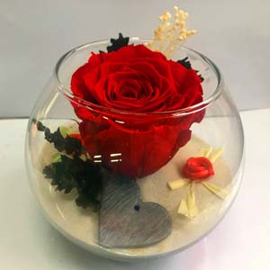 Composizione in vaso con rosa disidratata rossa e cuoricino