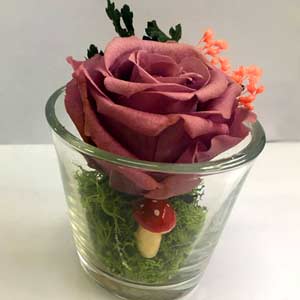 Rosa rosso antico stabilizzata in vasetto di vetro